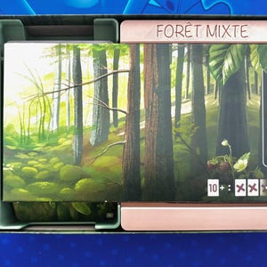 Peut inclure: Boîte de jeu de société ouverte, révélant des cartes illustrées d'une forêt. Les cartes présentent une forêt avec de grands arbres et des rayons de soleil. Le texte « FORÊT MIXTE » est visible sur le bord de la boîte. La boîte est verte et beige.