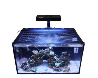 Innovative Marine 20 Gallon Rear Chamber Covers