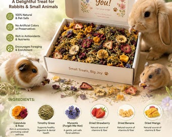 Flower Forage Treat Box – Rabbit, Guinea Pig, Chinchilla Snack, Cage Enrichment Toy