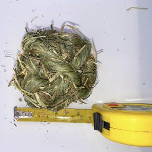 Organic Timothy Hay Grass Balls & Play Chew Toy for Suitable For Rabbits, Hamsters, Guinea Pigs, Chinchillas, and Gerbils.