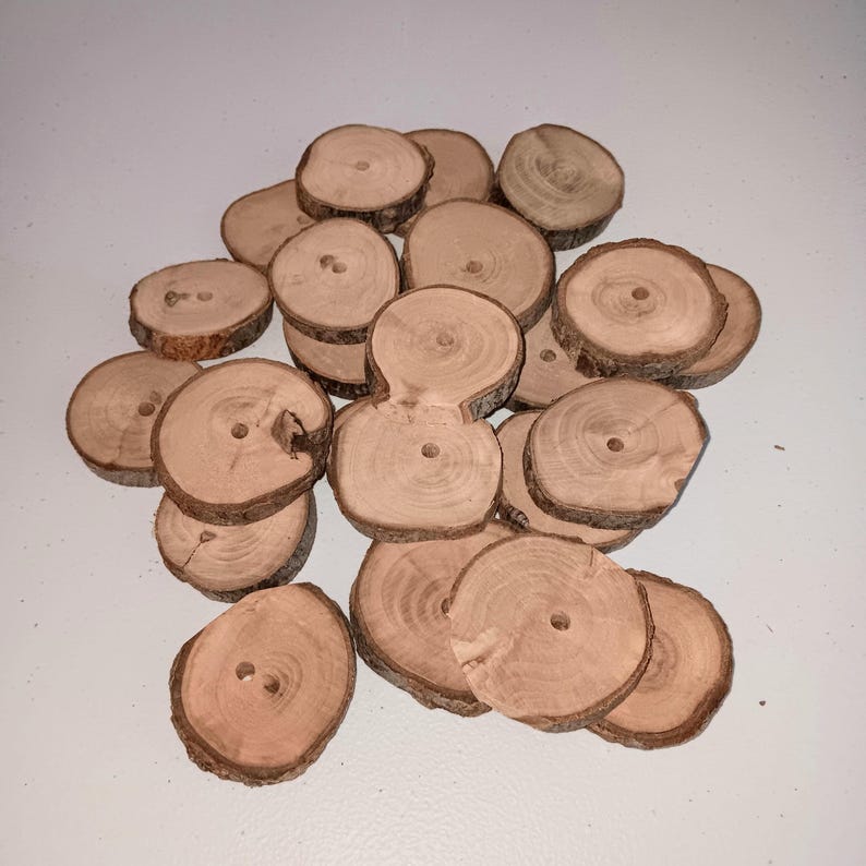 Organic Apple Wood Coin Slices Chew Treats : Pamper your rabbits, hamsters, guinea pigs, and small rodents