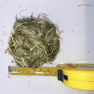 Organic Timothy Hay Grass Balls & Play Chew Toy for Suitable For Rabbits, Hamsters, Guinea Pigs, Chinchillas, and Gerbils.