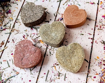 Snack a forma di cuore per piccoli animali, gusti fragola, lampone, avena e zucca