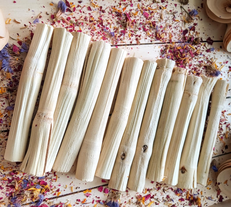 Pu&ograve; includere: Una collezione di bastoncini di bamb&ugrave; cilindrici beige chiaro, disposti diagonalmente su una superficie di legno bianco. I bastoncini hanno un aspetto naturale e strutturato con nodi e creste visibili. Petali di fiori secchi nei toni del rosa, viola e giallo sono sparsi.