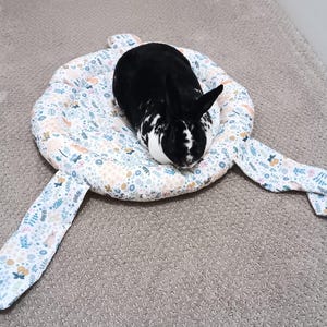 Chaise longue et oreiller en forme de lapin pour lapins, cochons d&#39;Inde et petits animaux