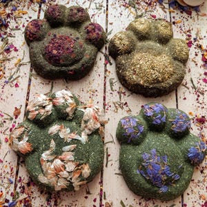 Flower Petal and Timothy Hay Little Paw Treats, specially designed for Chinchillas, Rabbits, Hamsters, and Guinea Pigs