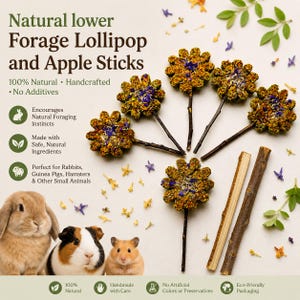 May include: A selection of natural forage lollipops and apple sticks for small animals. The lollipops have a flower-like shape with brown and purple accents. The image also includes three small animals: a rabbit, a guinea pig, and a hamster. The text reads "Natural lower Forage Lollipop and Apple Sticks".
