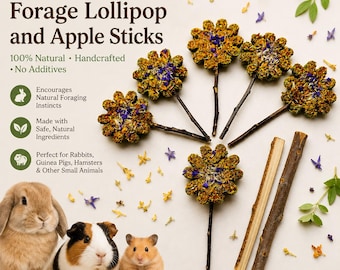 Blumenfutter Heu Lollipop Leckerli Blütenblätter, Kaninchen, Meerschweinchen, Hamster kauen