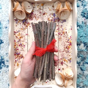 Gâteries en bâtons à mâcher en bois de pommier biologique de 15 cm (6 po.). Spécialement conçu pour les lapins, les gerbilles, les hamsters et les cobayes