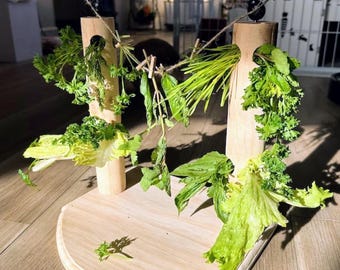 Vegetable Treat Stand with Hooks, Small Pet Enrichment | Rabbit, Guinea Pig & Small Pet Treat | Handmade Pet Gift | Bunny Boredom Breaker