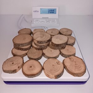 Organic Apple Wood Coin Slices Chew Treats : Pamper your rabbits, hamsters, guinea pigs, and small rodents