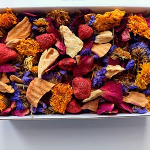 Flower Forage Treat Box – A Delightful Treat  for Rabbit, Chinchilla, Guinea Pigs, Hamsters, and Other Small Animals