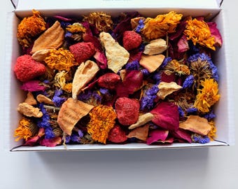 Leckerli-Box „Blumenfutter“ – für Kleintiere wie Kaninchen, Chinchillas und Meerschweinchen | Gesunder Snack für Kaninchen | Käfigbeschäftigung