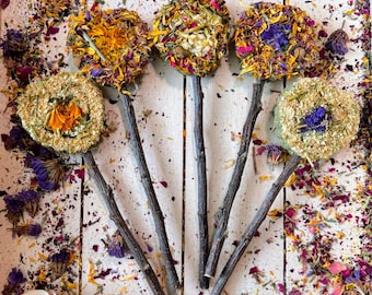 Piruleta de heno floral: Golosina con palito de manzana para mascotas pequeñas