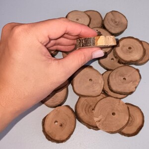 Organic Apple Wood Coin Slices Chew Treats : Pamper your rabbits, hamsters, guinea pigs, and small rodents