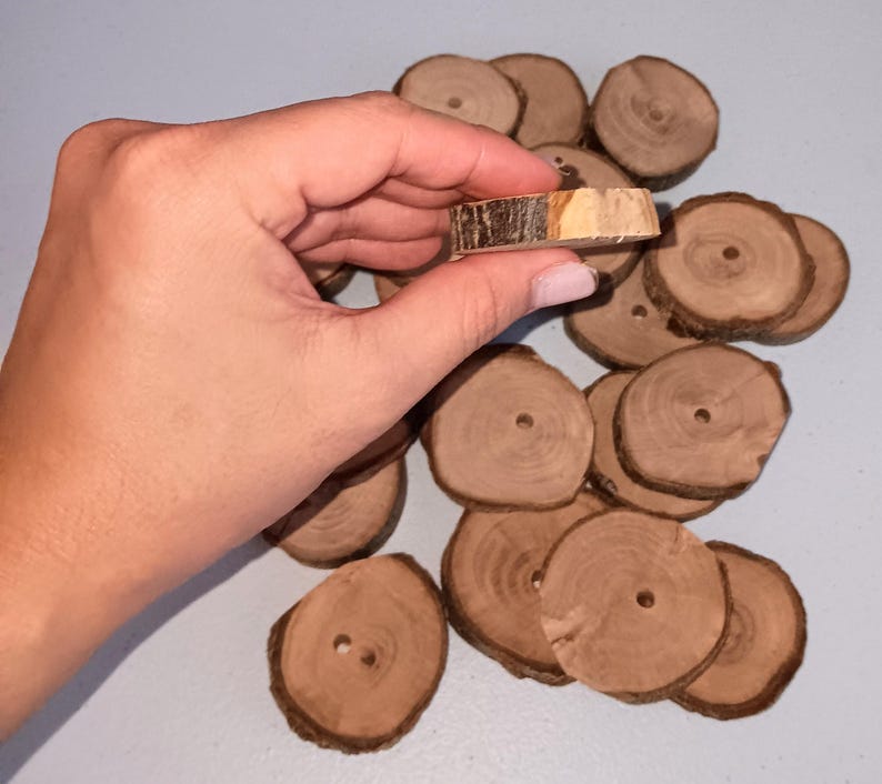 Organic Apple Wood Coin Slices Chew Treats : Pamper your rabbits, hamsters, guinea pigs, and small rodents