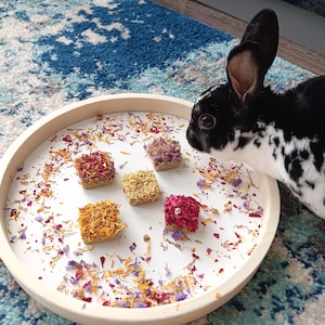 May include: A white ceramic plate with a variety of colorful dried flowers and four small squares of pressed flower hay. A black and white rabbit is sniffing the plate.