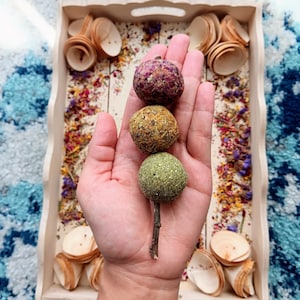 Grass Balls Meatball BBQ Skewers com Apple Stick, Timothy Hay Grass, Rose Petals, Calendula Treat – Um brinquedo e lanche delicioso para coelho