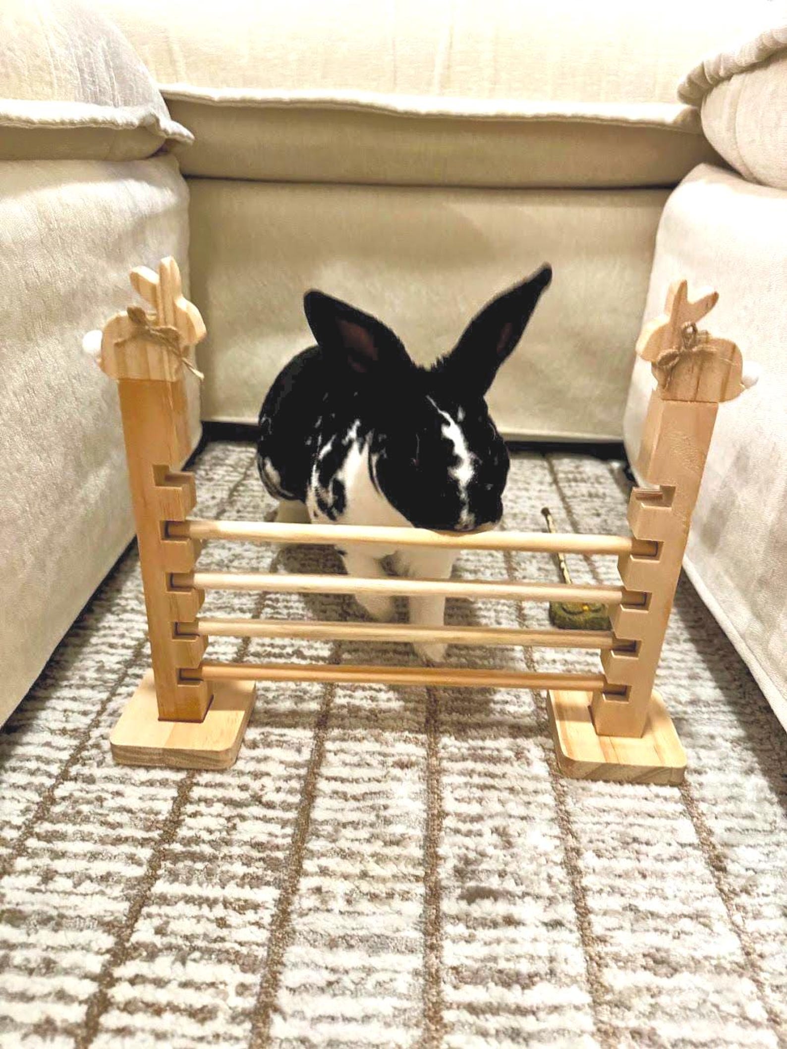 Adjustable Wooden Bunny Hurdle: Rabbit Agility Training Toy - Etsy