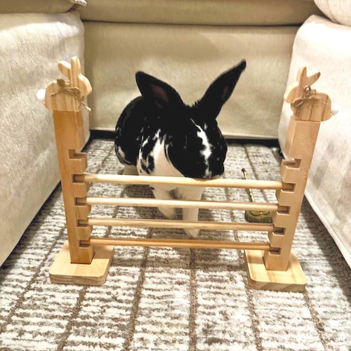 Adjustable Wooden Bunny Hurdle: Rabbit Agility Training Toy