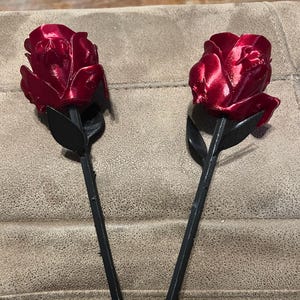Valentine’s Day Forbidden Rose