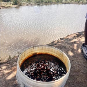 Puede incluir: Un cubo de pl&aacute;stico blanco lleno de una sustancia oscura y viscosa, posiblemente un l&iacute;quido o una pasta espesa. El cubo est&aacute; sobre una superficie de tierra cerca de una masa de agua, con un paisaje natural al fondo.