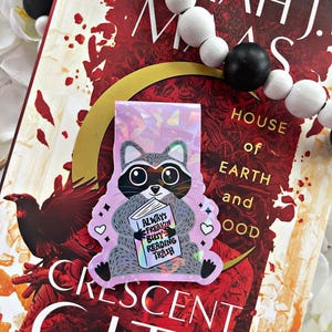 Cute Raccoon Magnetic Bookmark, Trash Bookmark,  Cute Reading Accessory, Book Gift, Cute Bookmark, Unique Bookmark