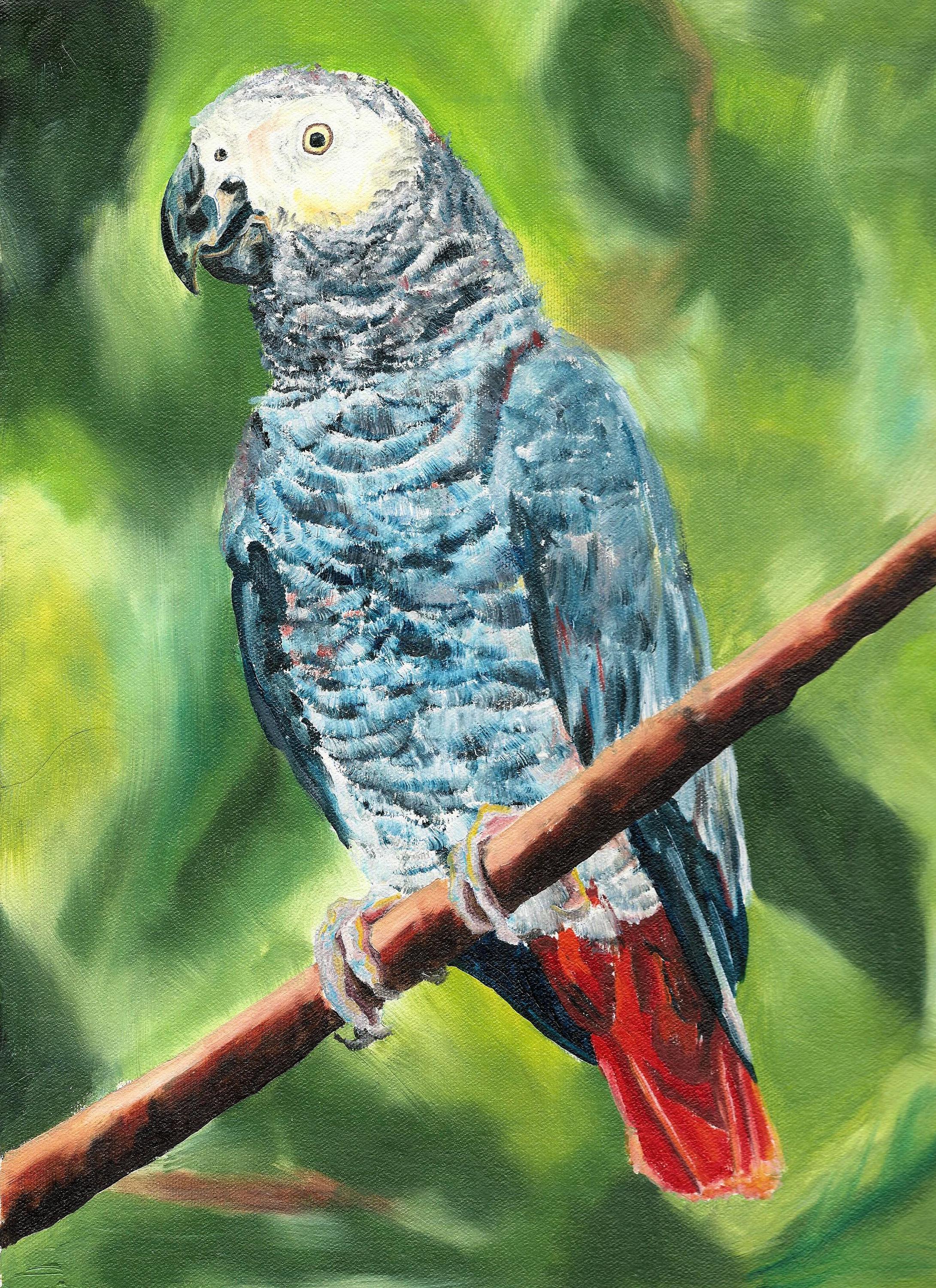 gallery photo
