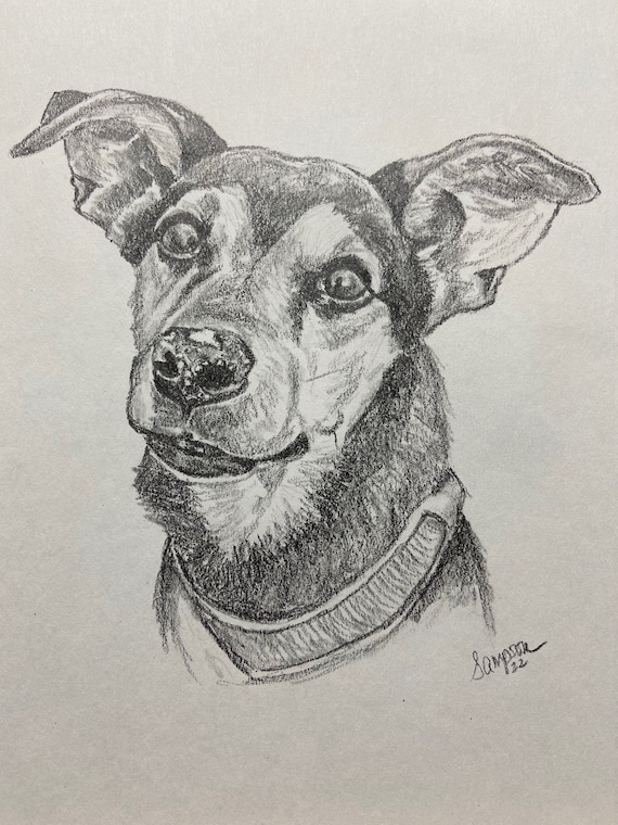 8" x 10" Pencil Graphite Pet Portrait free ship