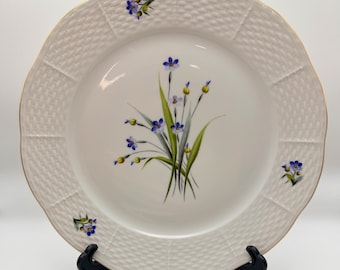 Waterford Evolution 7 1/4