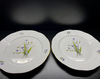 Waterford Evolution 7 1/4