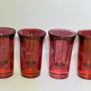 May include: Four ruby red glass tumblers with etched floral designs. The glasses have a slightly flared shape and a dark rim. The etched flowers are visible on the front of each glass.