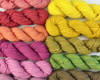 Natural Dyed Worsted Weight Merino Yarn, Mini-Skeins