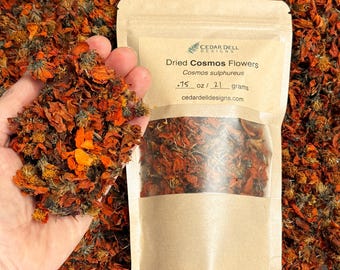 Dried Cosmos Flowers for Natural Dyeing, USA Grown with Organic Methods