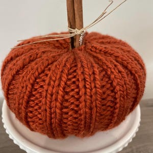 May include: A round, orange, knitted pumpkin decoration featuring a ribbed texture. The top center includes a brown cinnamon stick stem tied with a thin, light-colored twine string that features a small, silver-toned leaf-shaped metal charm.