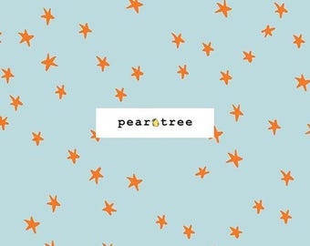 Polar by Ruby Star Society Fabrics | Ruby Star Starry New Collection | Ruby Star Fabric | RS4109-83