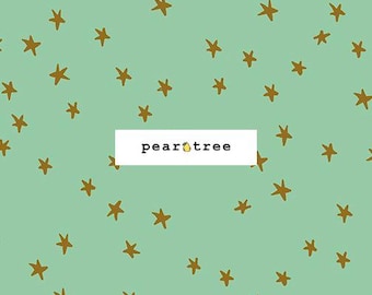 Moss by Ruby Star Society Fabrics | Ruby Star Starry New Collection | Ruby Star Fabric | RS4109-88