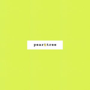 Kona Key Lime | Kona Cotton Solids | Key Lime Kona Fabric | Kona Solid | K001-842