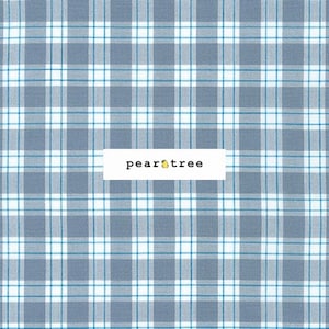 Shark by Robert Kaufman Fabrics | Kitchen Window Wovens Collection | Robert Kaufman Fabric | AZH-20530-465