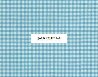 Pond - 1/8 inch by Robert Kaufman Fabrics | Carolina Gingham Collection | Robert Kaufman Fabric | P-5689-56