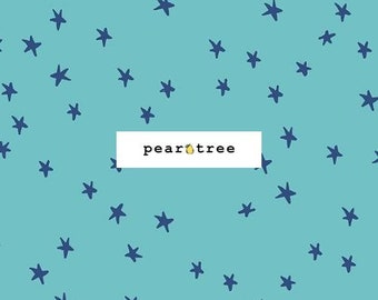 Turquoise by Ruby Star Society Fabrics | Ruby Star Starry Collection | Ruby Star Fabric | RS4109-43