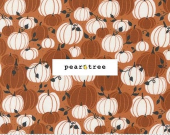 Pumpkin by Moda Fabrics | Moda Spellbound Collection | Moda Fabric | 43141-13