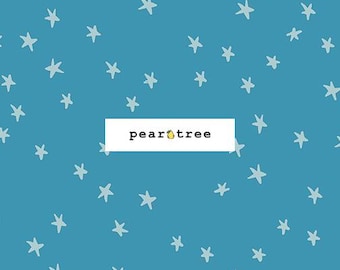 Vintage Blue by Ruby Star Society Fabrics | Ruby Star Starry New Collection | Ruby Star Fabric | RS4109-85