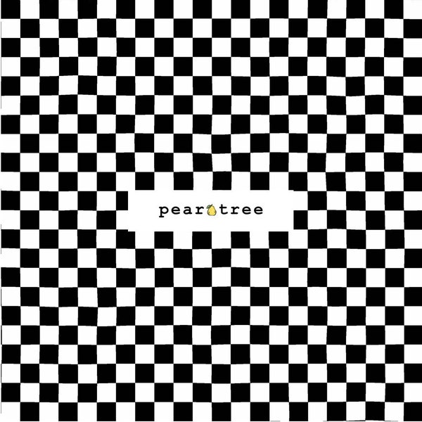 Checks - Black and White Fabric by RJR Fabrics | RJR Traffic Jam Collection | RJR Fabric | 3408-001