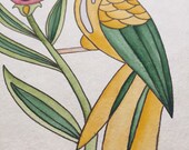 Golden Conure, original watercolor