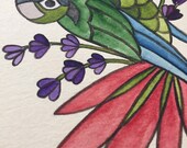 Green Cheeked Conure original watercolor