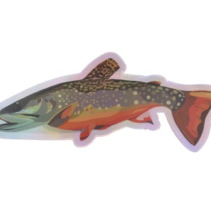 Fly fishing sticker | Trout sticker | Brook Trout sticker | Fishing gifts | Fly fishing decal