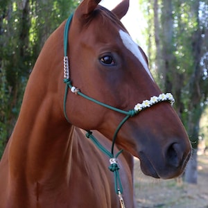 Soft Rope Halter - Custom