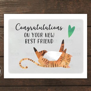 New Cat Card, Congratulations on Your New Best Friend, New Kitten Kitty, Fur Baby, New Pet, Furry Friend, Congrats, cat adoption, pet rescue