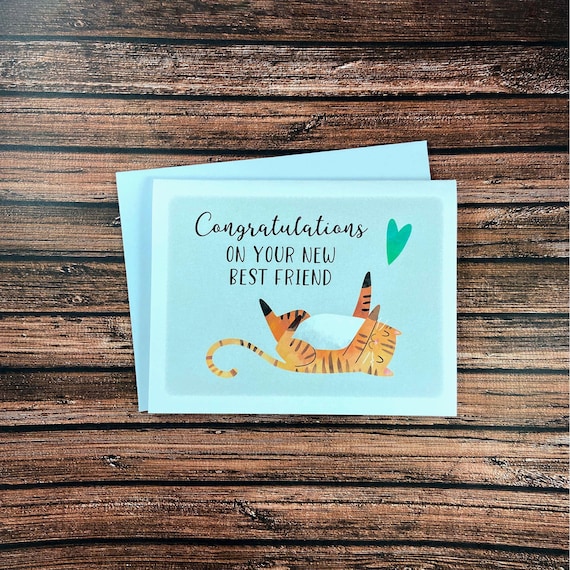 New Cat Card, Congratulations, New Best Friend, Pet Adoption